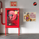 Cougar Pamela Anderson Poster-3