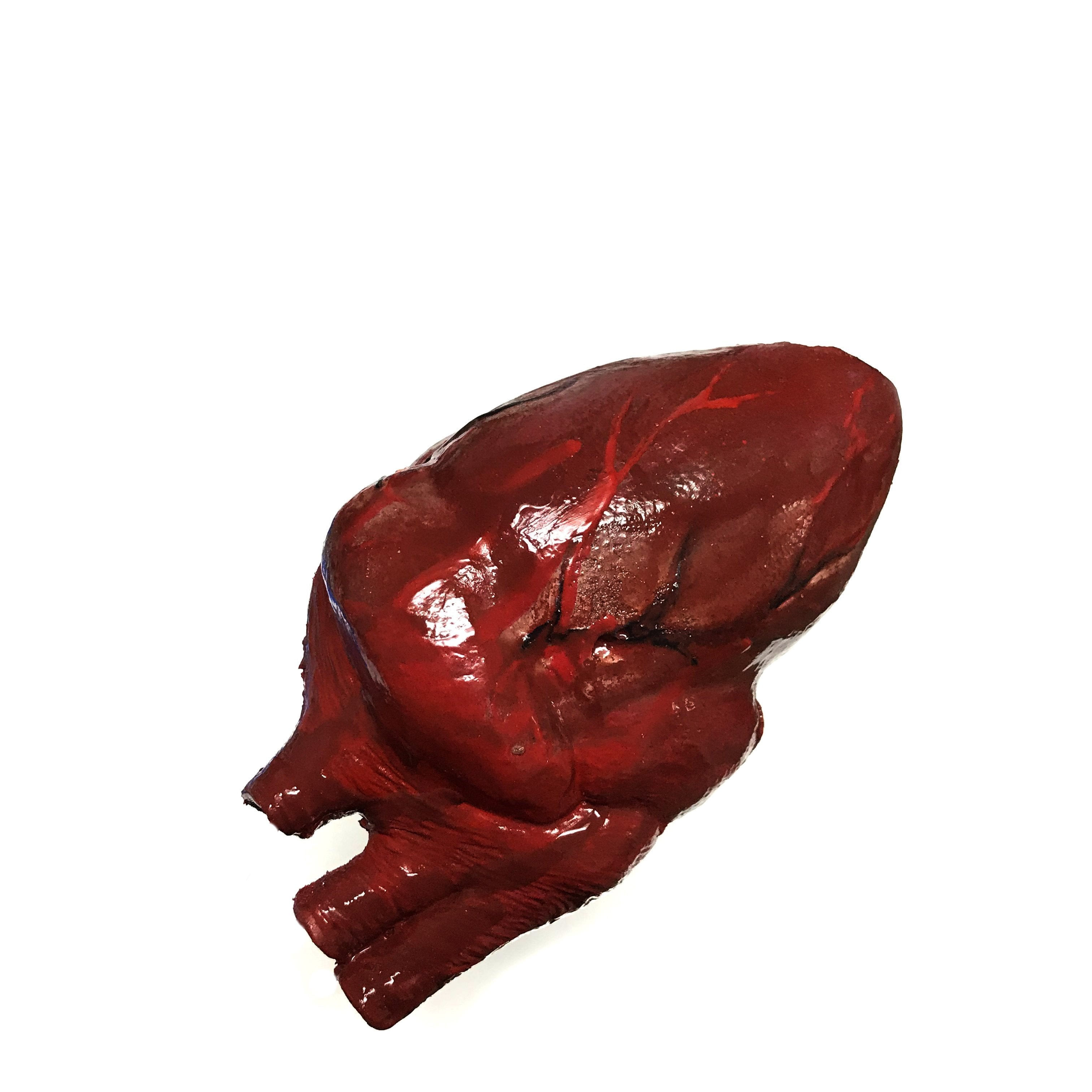 Bloody Hand-Painted Heart Flexible Foam Rubber Special Effects Life-Sized Prop