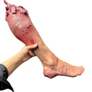 23 Inch Severed Detailed Foam Leg with Gore Effects Prop-2