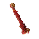 Realistic Lightweight Rigid Foam Humerus Prop-6