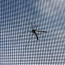 INEOS Grenadier Window Screens-5