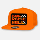 BORN TO RAISE HELL FLAT BILL PATCH HAT-3