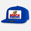 SIXTY NINE FLAVORS FLAT BILL PATCH HAT COLLECTION 2-8