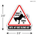 Truck Tillerman 3 Pack Firefighter Helmet Sticker-6