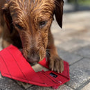 Fire Hose Dog Frisbee-10