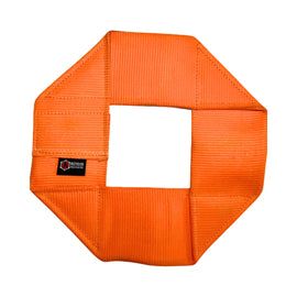 Fire Hose Dog Frisbee