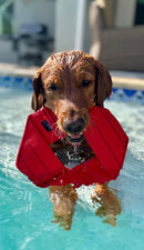 Fire Hose Dog Frisbee-12