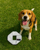 Fire Hose Dog Frisbee JR.-4