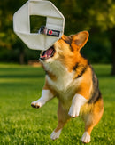 Fire Hose Dog Frisbee JR.-6