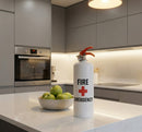 Fire Emergency-2