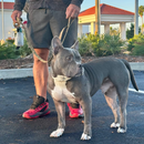 K9 Command Lead - Dual Control Dog Leash-2