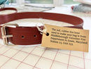 America Celebrates 250- Rubber Fire Hose Belt-3