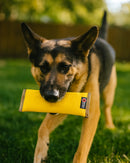 Recycled Fire Hose Dog Fetch Toy - XL-3