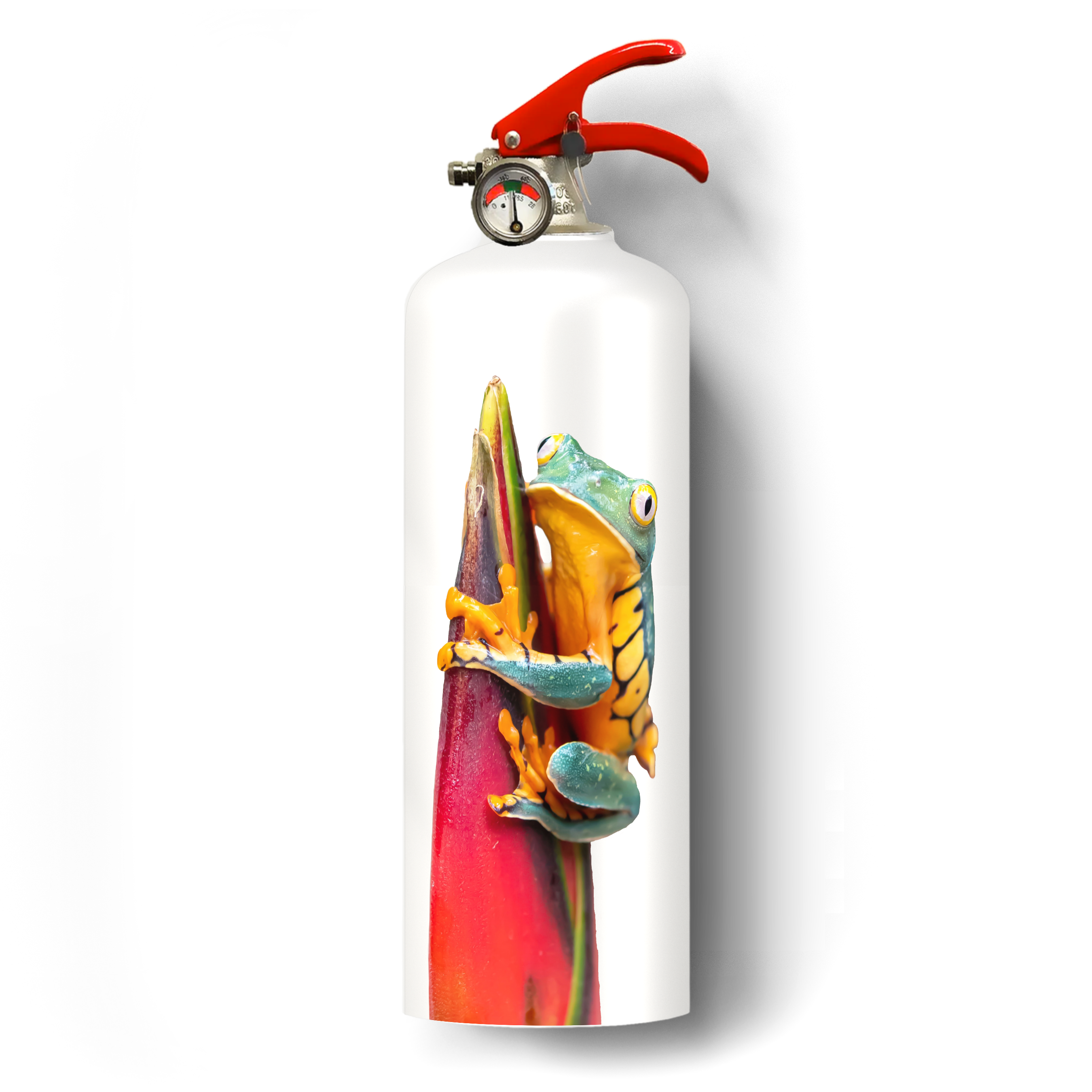 The Frog | American Fire Brigade