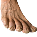 23 Inch Severed Detailed Foam Leg with Gore Effects Prop-3